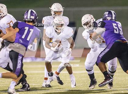 Thumbnail 1 in Bowie @ Paschal photogallery.