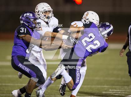 Thumbnail 1 in Bowie @ Paschal photogallery.