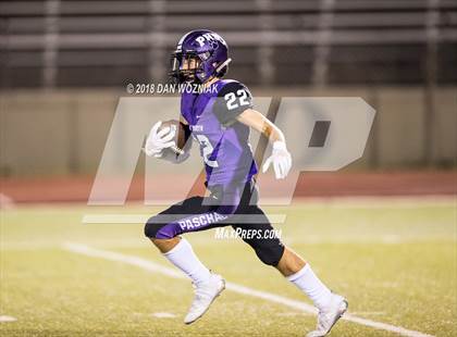 Thumbnail 1 in Bowie @ Paschal photogallery.