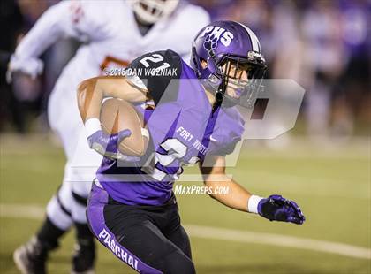 Thumbnail 1 in Bowie @ Paschal photogallery.