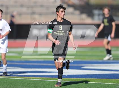 Thumbnail 2 in Telluride vs. Bishop Machebeuf (CHSAA 2A Semi-FInal) photogallery.