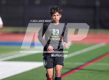 Thumbnail 3 in Telluride vs. Bishop Machebeuf (CHSAA 2A Semi-FInal) photogallery.