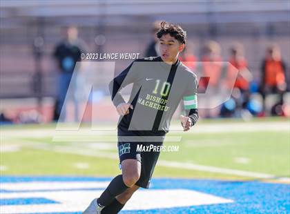 Thumbnail 1 in Telluride vs. Bishop Machebeuf (CHSAA 2A Semi-FInal) photogallery.