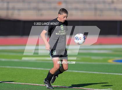 Thumbnail 2 in Telluride vs. Bishop Machebeuf (CHSAA 2A Semi-FInal) photogallery.