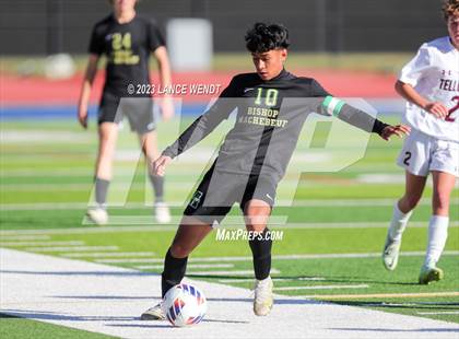 Thumbnail 1 in Telluride vs. Bishop Machebeuf (CHSAA 2A Semi-FInal) photogallery.