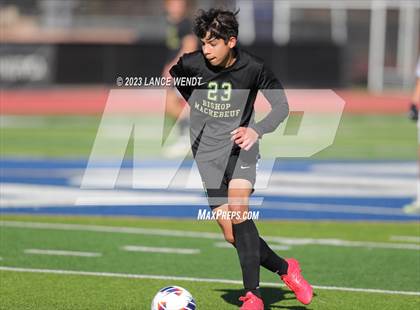 Thumbnail 3 in Telluride vs. Bishop Machebeuf (CHSAA 2A Semi-FInal) photogallery.