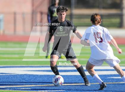 Thumbnail 1 in Telluride vs. Bishop Machebeuf (CHSAA 2A Semi-FInal) photogallery.