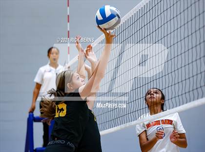 Thumbnail 2 in Klein Oak @ Grand Oaks photogallery.