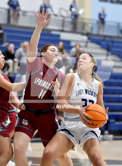 Thumbnail 1 in Springdale vs. Har-Ber photogallery.
