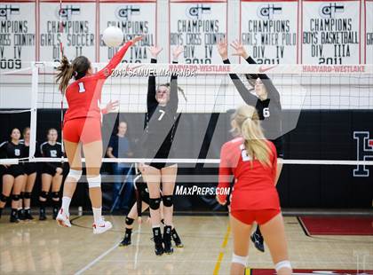 Thumbnail 1 in  Buckley @ Harvard-Westlake photogallery.