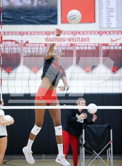 Thumbnail 3 in  Buckley @ Harvard-Westlake photogallery.