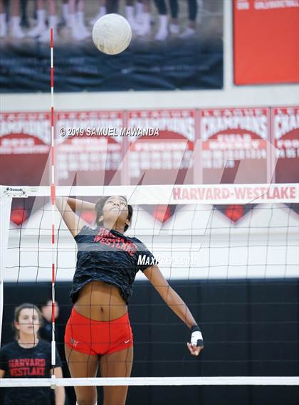 Thumbnail 1 in  Buckley @ Harvard-Westlake photogallery.
