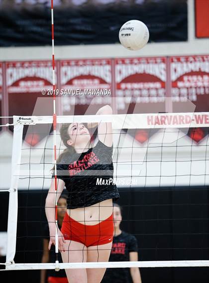 Thumbnail 2 in  Buckley @ Harvard-Westlake photogallery.
