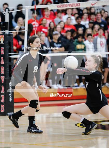 Thumbnail 2 in  Buckley @ Harvard-Westlake photogallery.