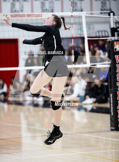 Thumbnail 1 in  Buckley @ Harvard-Westlake photogallery.