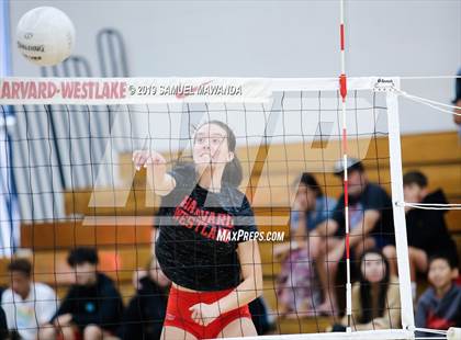 Thumbnail 1 in  Buckley @ Harvard-Westlake photogallery.
