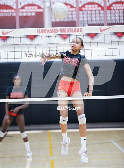 Thumbnail 2 in  Buckley @ Harvard-Westlake photogallery.