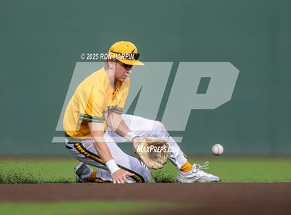 Thumbnail 3 in Douglas @ Bishop Manogue photogallery.