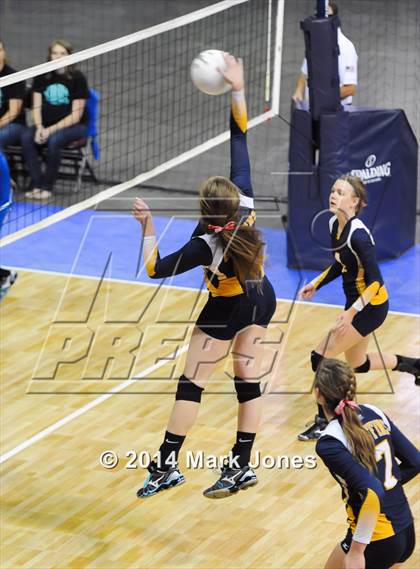 Thumbnail 3 in St. David vs. Glendale Prep Academy (AIA D5 Playoff) photogallery.