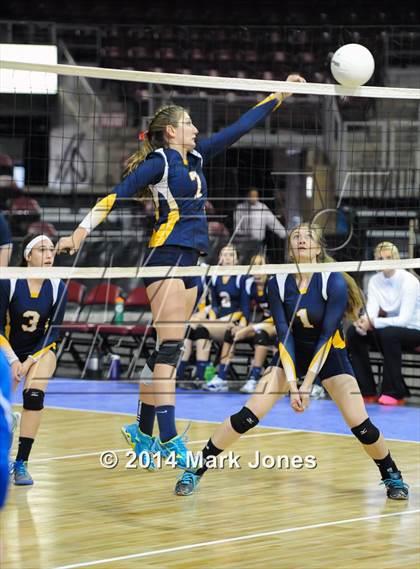 Thumbnail 3 in St. David vs. Glendale Prep Academy (AIA D5 Playoff) photogallery.