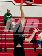 Photo from the gallery "Jesuit @ Bella Vista"