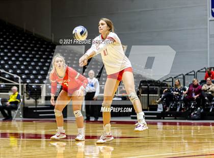 Thumbnail 1 in Bellville vs. Decatur (UIL Volleyball 4A Semi-Finals)  photogallery.
