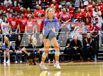 Thumbnail 2 in Bellville vs. Decatur (UIL Volleyball 4A Semi-Finals)  photogallery.