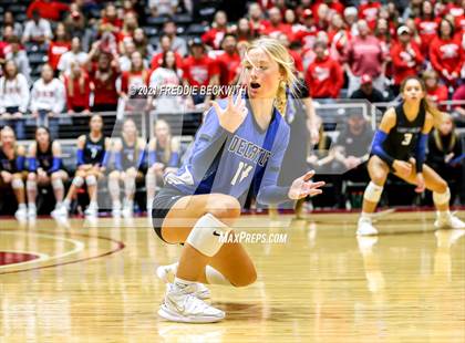 Thumbnail 1 in Bellville vs. Decatur (UIL Volleyball 4A Semi-Finals)  photogallery.