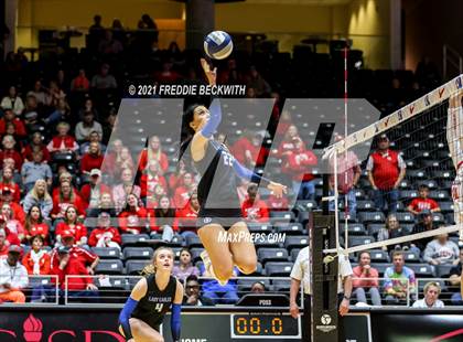 Thumbnail 2 in Bellville vs. Decatur (UIL Volleyball 4A Semi-Finals)  photogallery.
