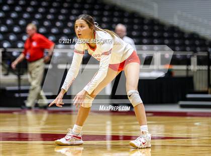 Thumbnail 1 in Bellville vs. Decatur (UIL Volleyball 4A Semi-Finals)  photogallery.