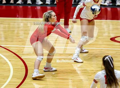 Thumbnail 1 in Bellville vs. Decatur (UIL Volleyball 4A Semi-Finals)  photogallery.