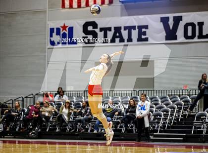 Thumbnail 3 in Bellville vs. Decatur (UIL Volleyball 4A Semi-Finals)  photogallery.