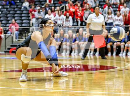 Thumbnail 3 in Bellville vs. Decatur (UIL Volleyball 4A Semi-Finals)  photogallery.