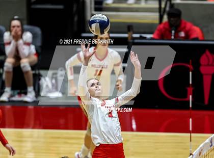 Thumbnail 3 in Bellville vs. Decatur (UIL Volleyball 4A Semi-Finals)  photogallery.