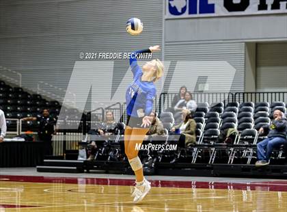 Thumbnail 2 in Bellville vs. Decatur (UIL Volleyball 4A Semi-Finals)  photogallery.