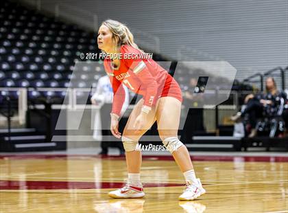 Thumbnail 1 in Bellville vs. Decatur (UIL Volleyball 4A Semi-Finals)  photogallery.
