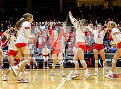 Thumbnail 1 in Bellville vs. Decatur (UIL Volleyball 4A Semi-Finals)  photogallery.