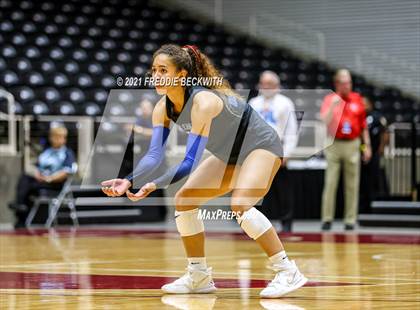 Thumbnail 3 in Bellville vs. Decatur (UIL Volleyball 4A Semi-Finals)  photogallery.