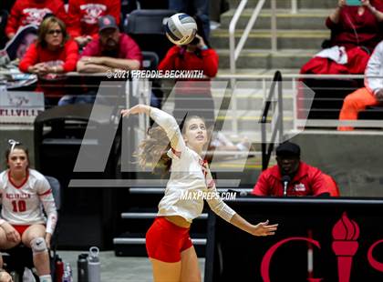 Thumbnail 3 in Bellville vs. Decatur (UIL Volleyball 4A Semi-Finals)  photogallery.