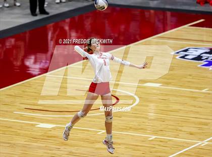 Thumbnail 1 in Bellville vs. Decatur (UIL Volleyball 4A Semi-Finals)  photogallery.