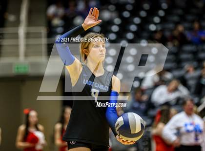 Thumbnail 1 in Bellville vs. Decatur (UIL Volleyball 4A Semi-Finals)  photogallery.