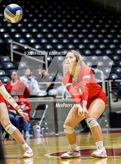Thumbnail 1 in Bellville vs. Decatur (UIL Volleyball 4A Semi-Finals)  photogallery.