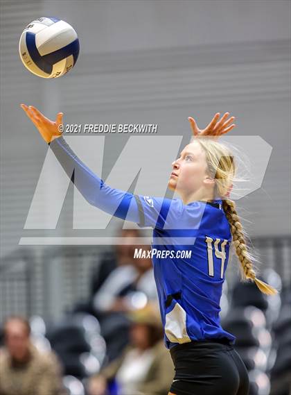Thumbnail 3 in Bellville vs. Decatur (UIL Volleyball 4A Semi-Finals)  photogallery.