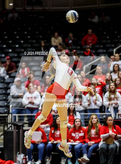 Thumbnail 2 in Bellville vs. Decatur (UIL Volleyball 4A Semi-Finals)  photogallery.