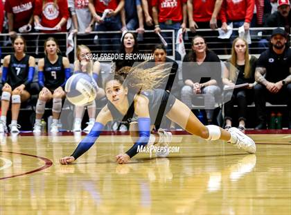 Thumbnail 2 in Bellville vs. Decatur (UIL Volleyball 4A Semi-Finals)  photogallery.