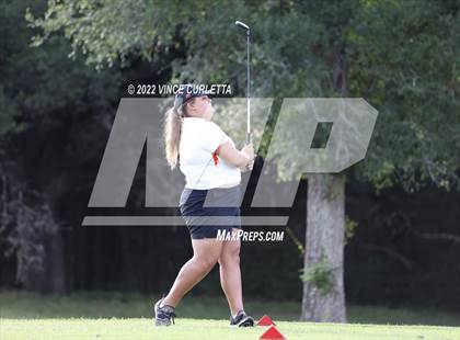 Thumbnail 2 in UIL 2A Golf State Championship photogallery.