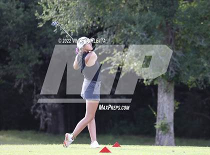 Thumbnail 1 in UIL 2A Golf State Championship photogallery.