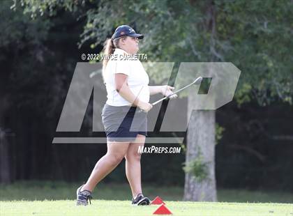 Thumbnail 3 in UIL 2A Golf State Championship photogallery.