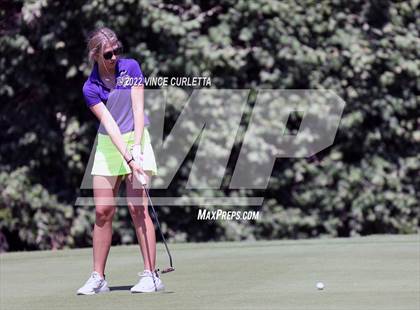 Thumbnail 3 in UIL 2A Golf State Championship photogallery.