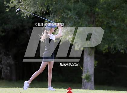 Thumbnail 2 in UIL 2A Golf State Championship photogallery.
